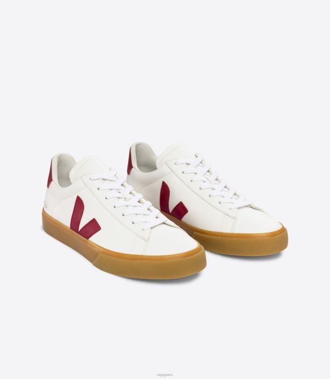 zapatos H28JT13 hombres Veja campo cuero sin cromo blanco marsala natural