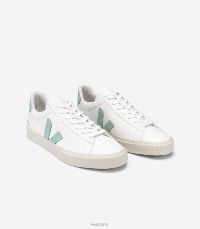 zapatos H28JT17 hombres Veja campo cuero sin cromo matcha blanco