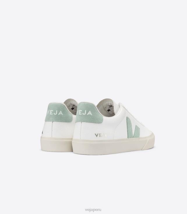 zapatos H28JT17 hombres Veja campo cuero sin cromo matcha blanco