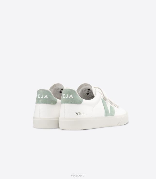 zapatos H28JT109 hombres Veja Recife cuero sin cromo matcha blanco