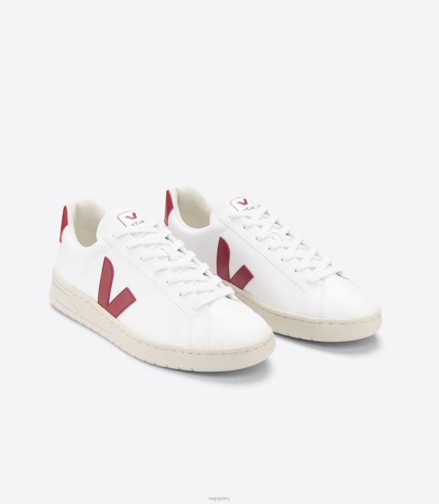 zapatos H28JT138 hombres Veja urca cwl marsala blanca