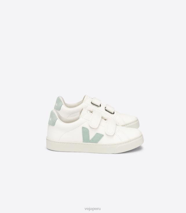 zapatos H28JT329 niños Veja esplar cuero sin cromo matcha blanco